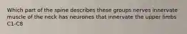 Which part of the spine describes these groups nerves innervate muscle of the neck has neurones that innervate the upper limbs C1-C8