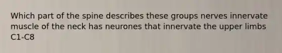 Which part of the spine describes these groups nerves innervate muscle of the neck has neurones that innervate the upper limbs C1-C8