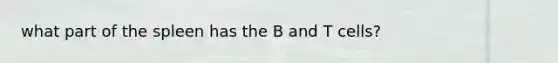 what part of the spleen has the B and T cells?