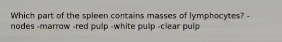 Which part of the spleen contains masses of lymphocytes? -​nodes -​marrow -red pulp​ -​white pulp -​clear pulp