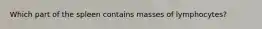 Which part of the spleen contains masses of lymphocytes?