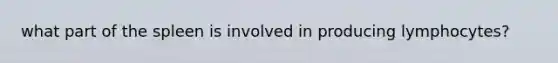 what part of the spleen is involved in producing lymphocytes?