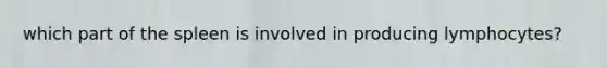 which part of the spleen is involved in producing lymphocytes?