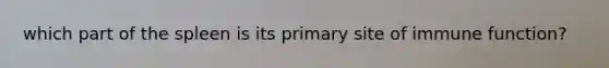which part of the spleen is its primary site of immune function?