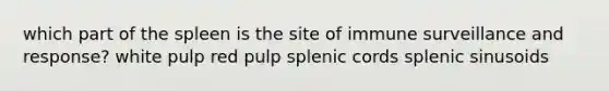 which part of the spleen is the site of immune surveillance and response? white pulp red pulp splenic cords splenic sinusoids