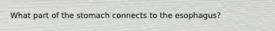 What part of the stomach connects to the esophagus?