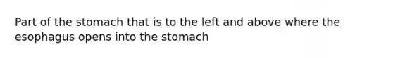 Part of the stomach that is to the left and above where the esophagus opens into the stomach