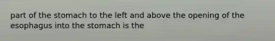 part of the stomach to the left and above the opening of the esophagus into the stomach is the