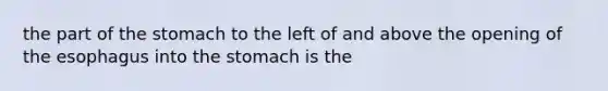 the part of the stomach to the left of and above the opening of the esophagus into the stomach is the