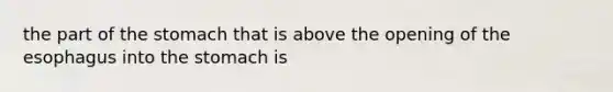 the part of the stomach that is above the opening of the esophagus into the stomach is