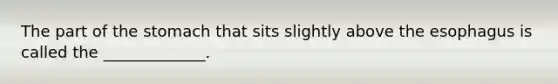 The part of the stomach that sits slightly above the esophagus is called the _____________.