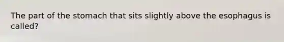 The part of <a href='https://www.questionai.com/knowledge/kLccSGjkt8-the-stomach' class='anchor-knowledge'>the stomach</a> that sits slightly above <a href='https://www.questionai.com/knowledge/kSjVhaa9qF-the-esophagus' class='anchor-knowledge'>the esophagus</a> is called?