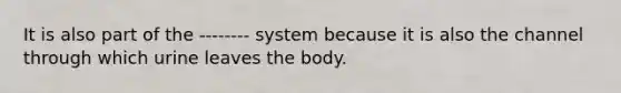 It is also part of the -------- system because it is also the channel through which urine leaves the body.