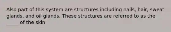 Also part of this system are structures including nails, hair, sweat glands, and oil glands. These structures are referred to as the _____ of the skin.