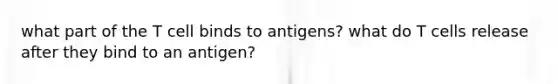 what part of the T cell binds to antigens? what do T cells release after they bind to an antigen?