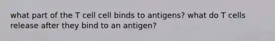 what part of the T cell cell binds to antigens? what do T cells release after they bind to an antigen?