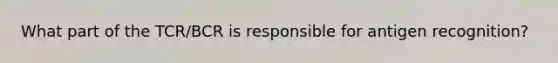 What part of the TCR/BCR is responsible for antigen recognition?