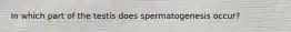 In which part of the testis does spermatogenesis occur?