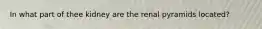 In what part of thee kidney are the renal pyramids located?