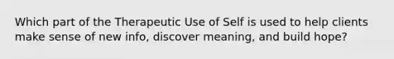 Which part of the Therapeutic Use of Self is used to help clients make sense of new info, discover meaning, and build hope?