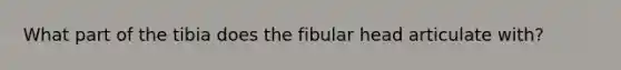 What part of the tibia does the fibular head articulate with?