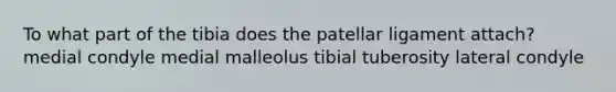 To what part of the tibia does the patellar ligament attach? medial condyle medial malleolus tibial tuberosity lateral condyle