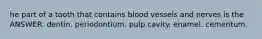 he part of a tooth that contains blood vessels and nerves is the ANSWER: dentin. periodontium. pulp cavity. enamel. cementum.
