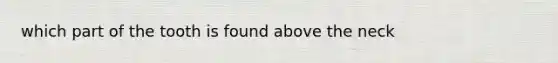 which part of the tooth is found above the neck