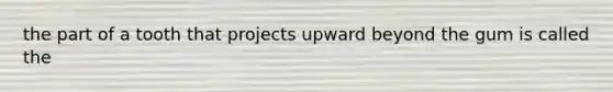 the part of a tooth that projects upward beyond the gum is called the