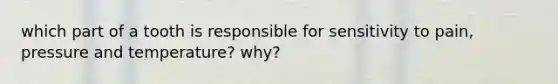 which part of a tooth is responsible for sensitivity to pain, pressure and temperature? why?