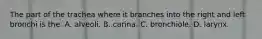 The part of the trachea where it branches into the right and left bronchi is​ the: A. alveoli. B. carina. C. bronchiole. D. larynx.