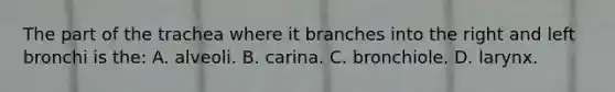 The part of the trachea where it branches into the right and left bronchi is​ the: A. alveoli. B. carina. C. bronchiole. D. larynx.