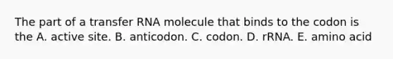 The part of a transfer RNA molecule that binds to the codon is the A. active site. B. anticodon. C. codon. D. rRNA. E. amino acid