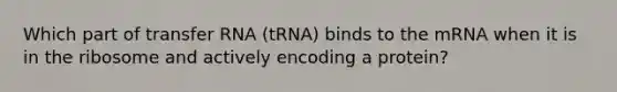 Which part of transfer RNA (tRNA) binds to the mRNA when it is in the ribosome and actively encoding a protein?