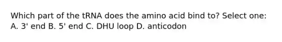 Which part of the tRNA does the amino acid bind to? Select one: A. 3' end B. 5' end C. DHU loop D. anticodon