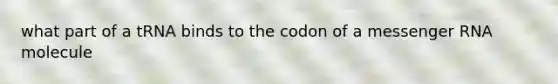 what part of a tRNA binds to the codon of a messenger RNA molecule