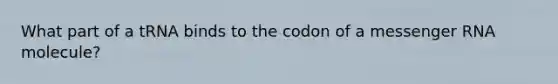 What part of a tRNA binds to the codon of a <a href='https://www.questionai.com/knowledge/kDttgcz0ig-messenger-rna' class='anchor-knowledge'>messenger rna</a> molecule?