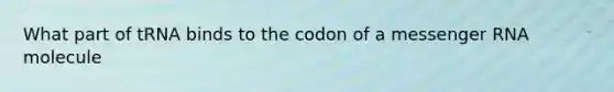 What part of tRNA binds to the codon of a messenger RNA molecule