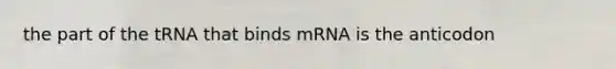 the part of the tRNA that binds mRNA is the anticodon