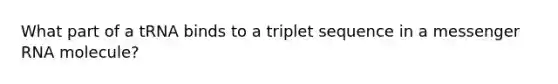 What part of a tRNA binds to a triplet sequence in a messenger RNA molecule?