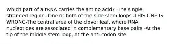 Which part of a tRNA carries the amino acid? -The single-stranded region -One or both of the side stem loops -THIS ONE IS WRONG-The central area of the clover leaf, where RNA nucleotides are associated in complementary base pairs -At the tip of the middle stem loop, at the anti-codon site