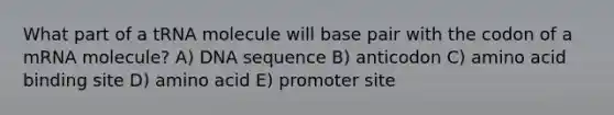 What part of a tRNA molecule will base pair with the codon of a mRNA molecule? A) DNA sequence B) anticodon C) amino acid binding site D) amino acid E) promoter site