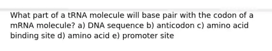 What part of a tRNA molecule will base pair with the codon of a mRNA molecule? a) DNA sequence b) anticodon c) amino acid binding site d) amino acid e) promoter site