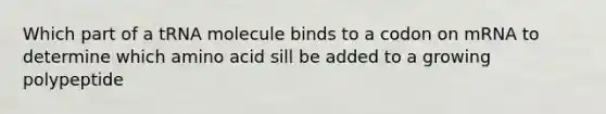 Which part of a tRNA molecule binds to a codon on mRNA to determine which amino acid sill be added to a growing polypeptide