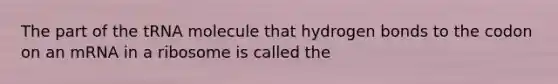 The part of the tRNA molecule that hydrogen bonds to the codon on an mRNA in a ribosome is called the