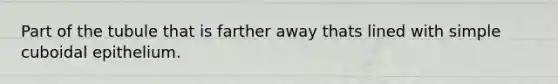 Part of the tubule that is farther away thats lined with simple cuboidal epithelium.