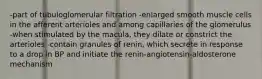 -part of tubuloglomerular filtration -enlarged smooth muscle cells in the afferent arterioles and among capillaries of the glomerulus -when stimulated by the macula, they dilate or constrict the arterioles -contain granules of renin, which secrete in response to a drop in BP and initiate the renin-angiotensin-aldosterone mechanism