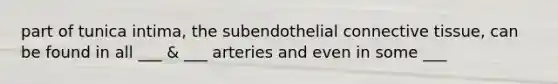 part of tunica intima, the subendothelial connective tissue, can be found in all ___ & ___ arteries and even in some ___