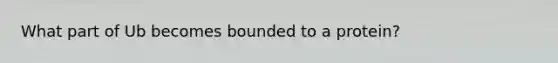 What part of Ub becomes bounded to a protein?