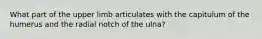 What part of the upper limb articulates with the capitulum of the humerus and the radial notch of the ulna?